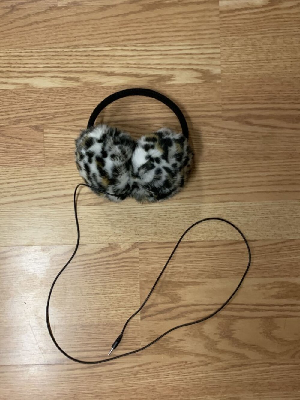 Pair of Headphones